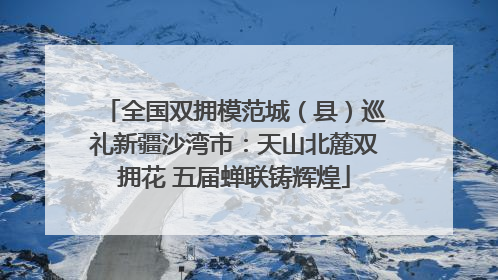 全国双拥模范城（县）巡礼新疆沙湾市：天山北麓双拥花 五届蝉联铸辉煌