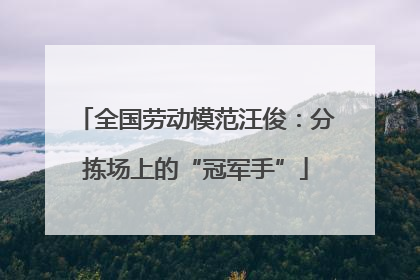 全国劳动模范汪俊：分拣场上的“冠军手”