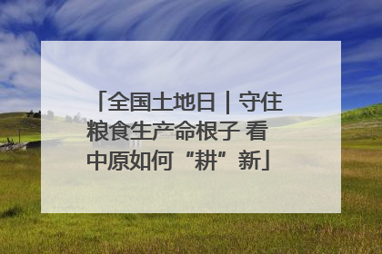 全国土地日｜守住粮食生产命根子 看中原如何“耕”新