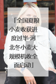 全国夏粮小麦收获进度过半 河北冬小麦大规模机收全面启动