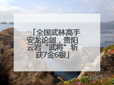 全国武林高手安龙论剑，贵阳云岩“武将”斩获7金6银