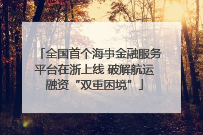 全国首个海事金融服务平台在浙上线 破解航运融资“双重困境”