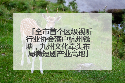 全市首个区级视听行业协会落户杭州钱塘，九州文化牵头布局微短剧产业高地