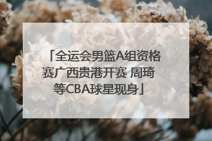 全运会男篮A组资格赛广西贵港开赛 周琦等CBA球星现身