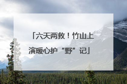六天两救！竹山上演暖心护“野”记