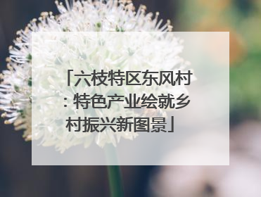 六枝特区东风村：特色产业绘就乡村振兴新图景