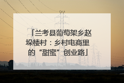 兰考县葡萄架乡赵垛楼村：乡村电商里的“甜蜜”创业路
