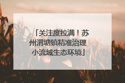 关注度拉满！苏州渭塘镇精准治理小流域生态环境