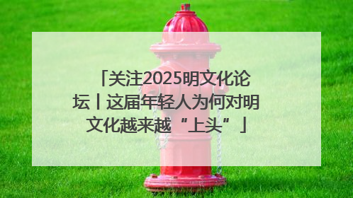 关注2025明文化论坛丨这届年轻人为何对明文化越来越“上头”