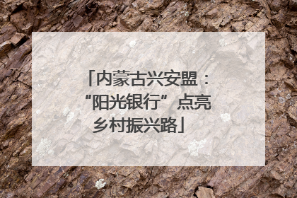 内蒙古兴安盟：“阳光银行”点亮乡村振兴路