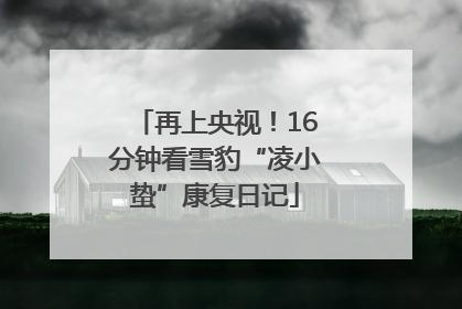 再上央视！16分钟看雪豹“凌小蛰”康复日记