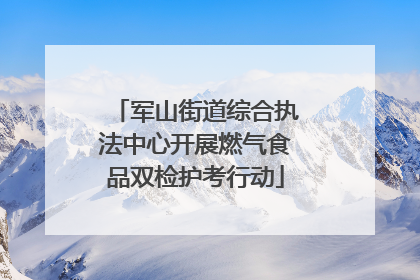 军山街道综合执法中心开展燃气食品双检护考行动