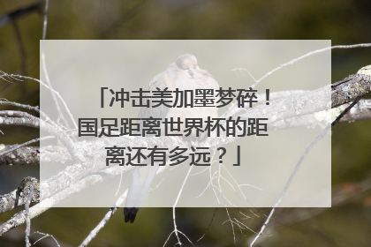 冲击美加墨梦碎！国足距离世界杯的距离还有多远？