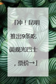 冲！昆明推出9条吃菌观光巴士，票价→