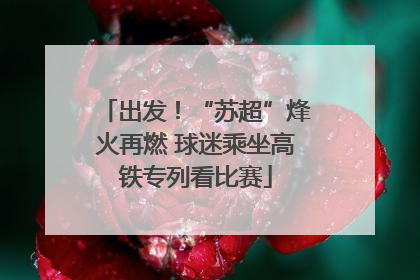 出发！“苏超”烽火再燃 球迷乘坐高铁专列看比赛