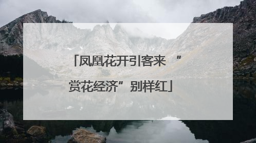 凤凰花开引客来 “赏花经济”别样红