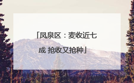 凤泉区：麦收近七成 抢收又抢种