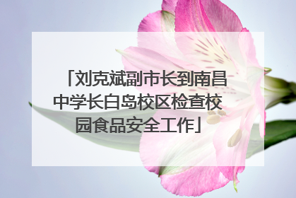 刘克斌副市长到南昌中学长白岛校区检查校园食品安全工作