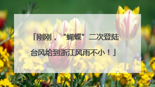 刚刚，“蝴蝶”二次登陆 台风给到浙江风雨不小！