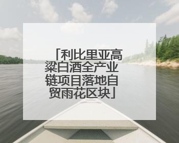 利比里亚高粱白酒全产业链项目落地自贸雨花区块