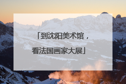 到沈阳美术馆，看法国画家大展