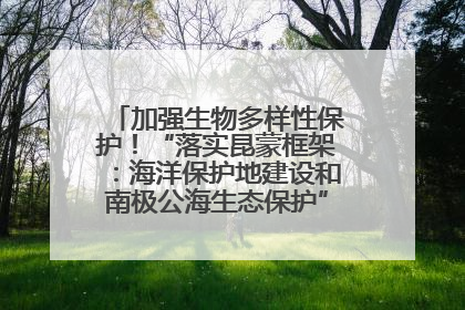 加强生物多样性保护！“落实昆蒙框架：海洋保护地建设和南极公海生态保护”主题论坛将举办