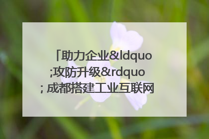 助力企业“攻防升级” 成都搭建工业互联网安全供需对接平台