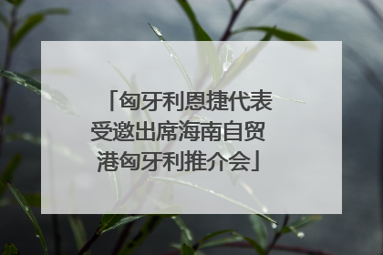 匈牙利恩捷代表受邀出席海南自贸港匈牙利推介会
