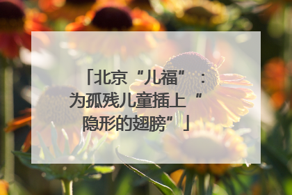 北京“儿福”：为孤残儿童插上“隐形的翅膀”