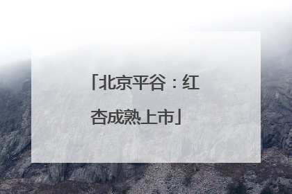 北京平谷：红杏成熟上市