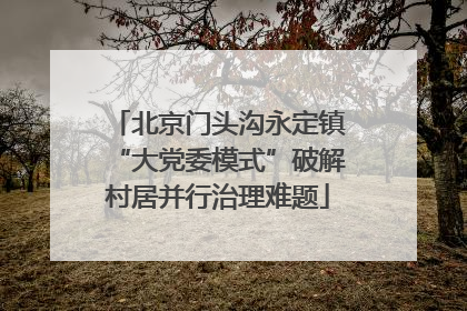北京门头沟永定镇“大党委模式”破解村居并行治理难题