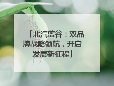 北汽蓝谷：双品牌战略领航，开启发展新征程