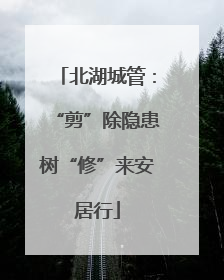 北湖城管：“剪”除隐患树“修”来安居行