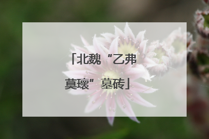 北魏“乙弗莫瓌”墓砖