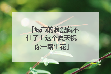 城市的浪漫藏不住了！这个夏天祝你一路生花