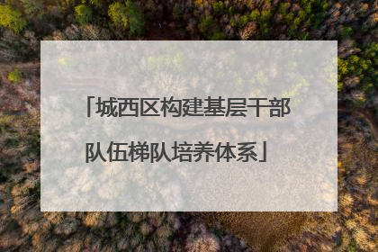 城西区构建基层干部队伍梯队培养体系