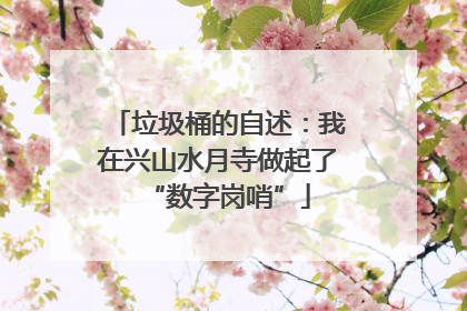 垃圾桶的自述：我在兴山水月寺做起了“数字岗哨”