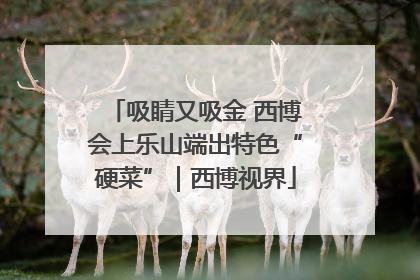 吸睛又吸金 西博会上乐山端出特色“硬菜”｜西博视界