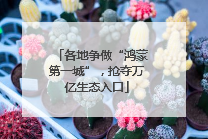 各地争做“鸿蒙第一城”，抢夺万亿生态入口
