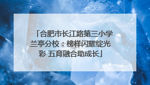 合肥市长江路第三小学兰亭分校：榜样闪耀绽光彩 五育融合助成长