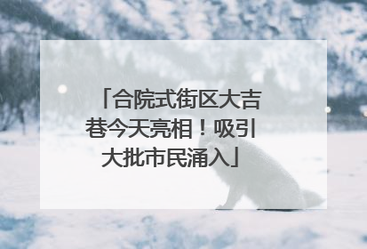 合院式街区大吉巷今天亮相！吸引大批市民涌入