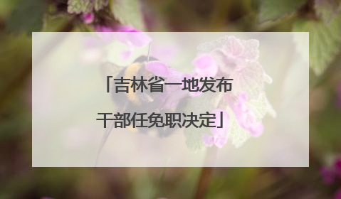 吉林省一地发布干部任免职决定