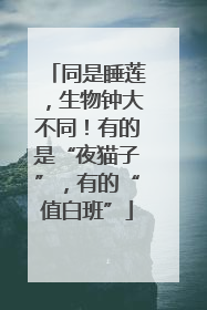 同是睡莲，生物钟大不同！有的是“夜猫子”，有的“值白班”