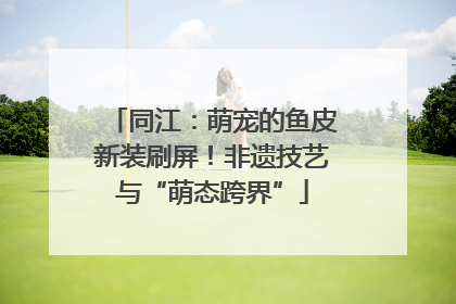 同江：萌宠的鱼皮新装刷屏！非遗技艺与“萌态跨界”