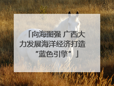 向海图强 广西大力发展海洋经济打造“蓝色引擎”