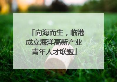向海而生，临港成立海洋高新产业青年人才联盟