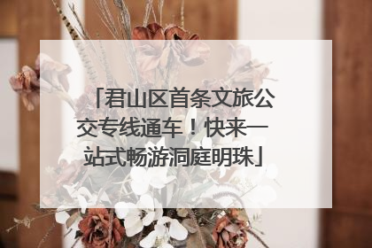 君山区首条文旅公交专线通车！快来一站式畅游洞庭明珠