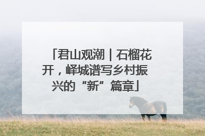 君山观潮｜石榴花开，峄城谱写乡村振兴的“新”篇章