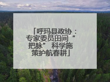 呼玛县政协:专家委员田间“把脉” 科学施策护航春耕