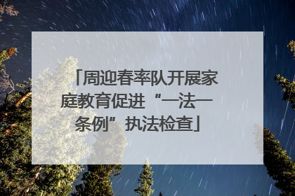 周迎春率队开展家庭教育促进“一法一条例”执法检查
